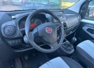 FIAT QUBO