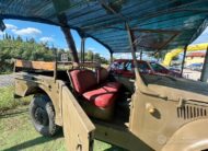 FIAT CAMPAGNOLA EX ESERCITO AR51