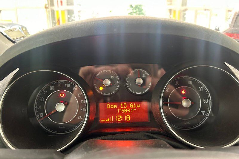 FIAT PUNTO EVO NEOPATENTATI