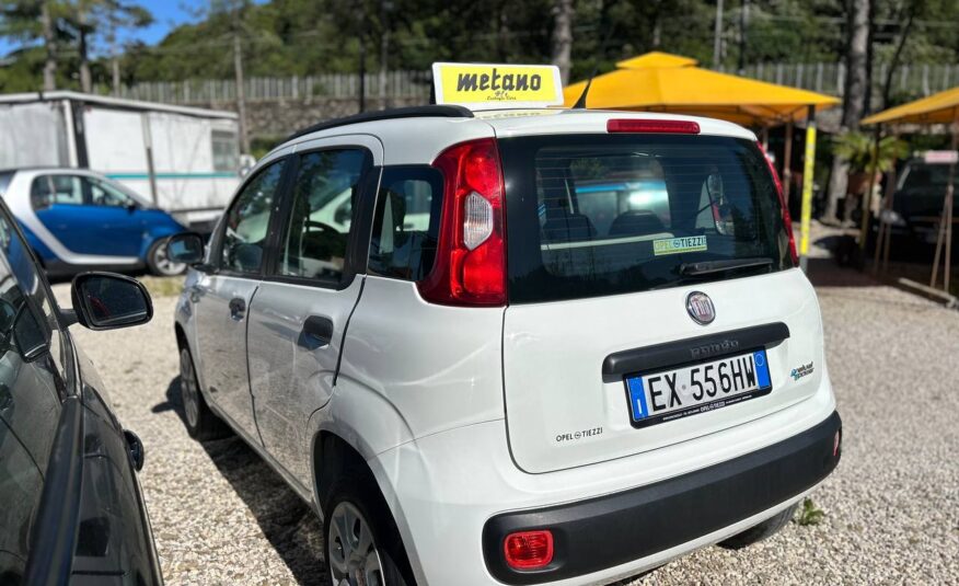 FIAT PANDA NEOPATENTATI